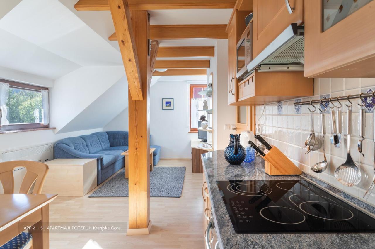 Apartmaji Potepuh كْرانْيِسكا غورا المظهر الخارجي الصورة